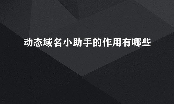 动态域名小助手的作用有哪些