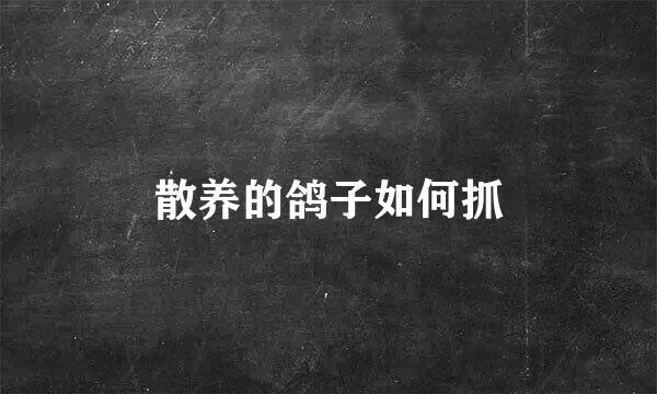 散养的鸽子如何抓