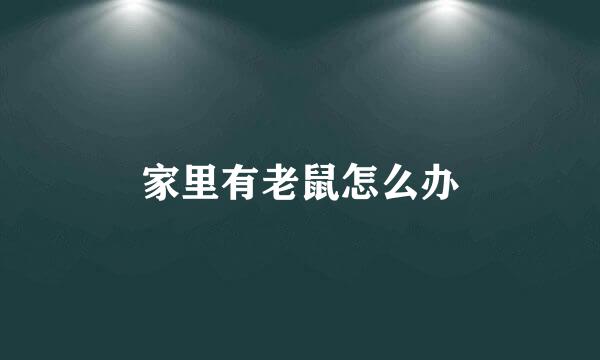 家里有老鼠怎么办