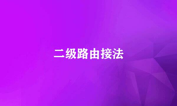 二级路由接法