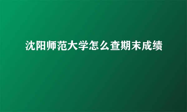 沈阳师范大学怎么查期末成绩