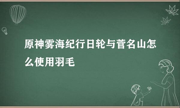 原神雾海纪行日轮与菅名山怎么使用羽毛