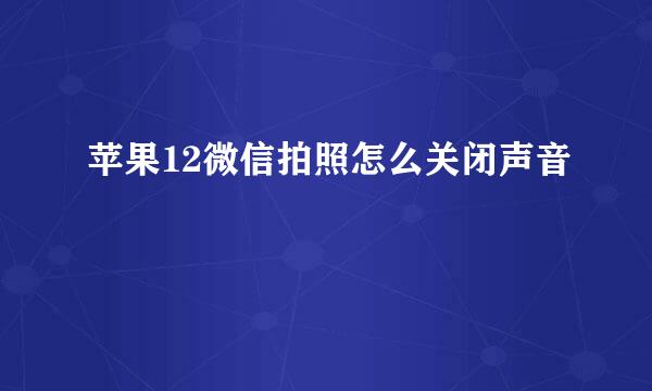 苹果12微信拍照怎么关闭声音