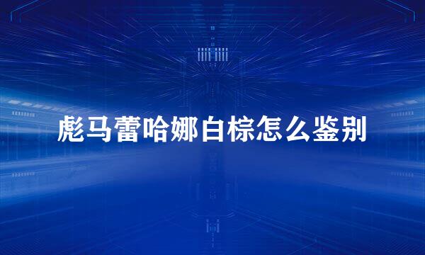 彪马蕾哈娜白棕怎么鉴别