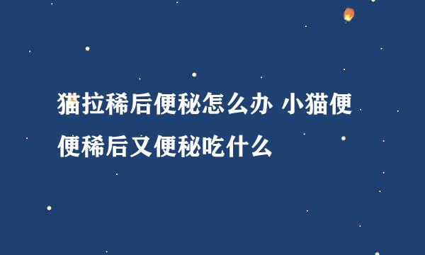 猫拉稀后便秘怎么办 小猫便便稀后又便秘吃什么