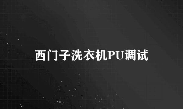 西门子洗衣机PU调试