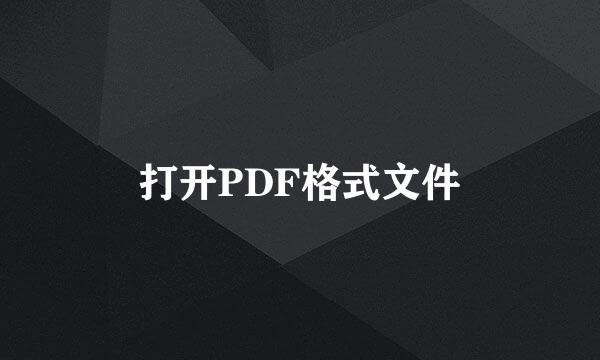 打开PDF格式文件