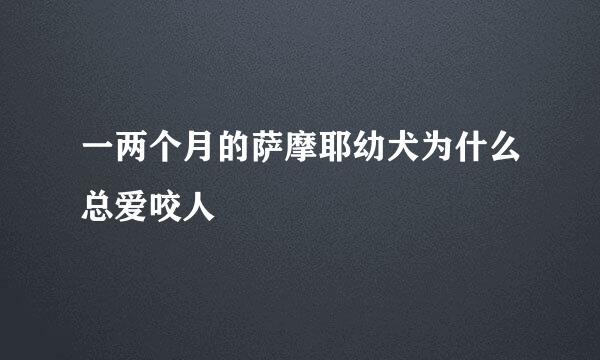 一两个月的萨摩耶幼犬为什么总爱咬人