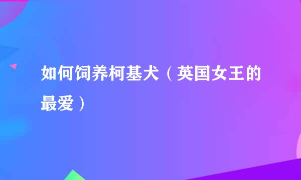 如何饲养柯基犬（英国女王的最爱）