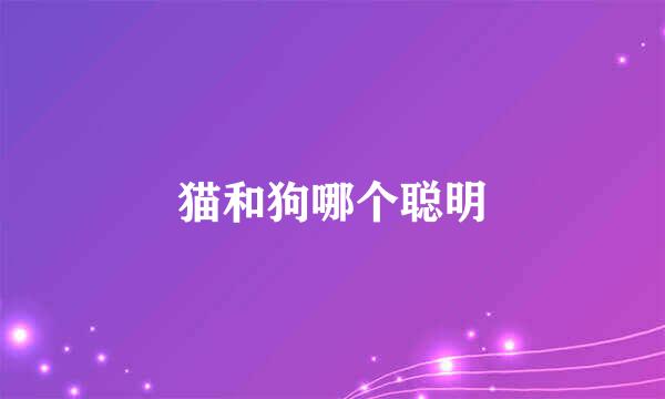 猫和狗哪个聪明