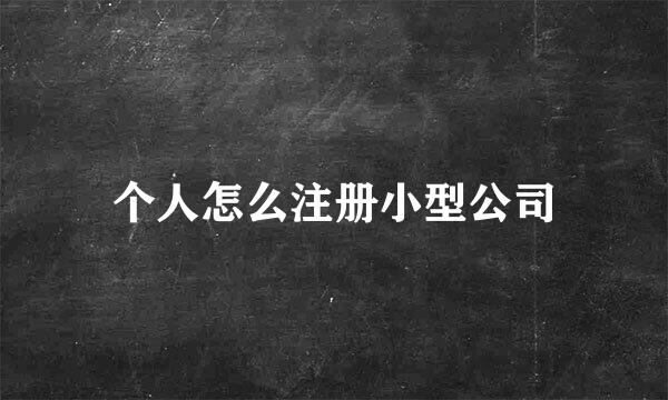 个人怎么注册小型公司