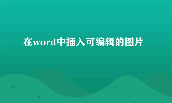 在word中插入可编辑的图片
