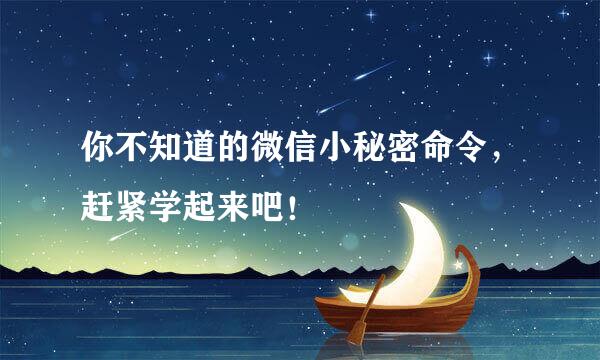 你不知道的微信小秘密命令，赶紧学起来吧！