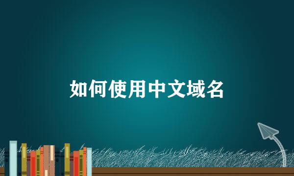 如何使用中文域名