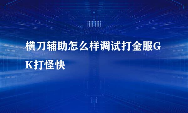 横刀辅助怎么样调试打金服GK打怪快
