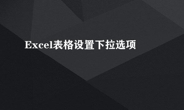Excel表格设置下拉选项