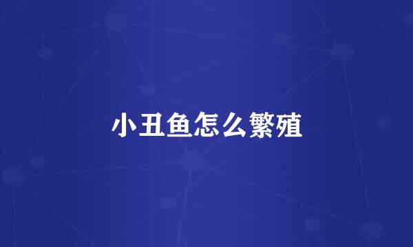 小丑鱼怎么繁殖
