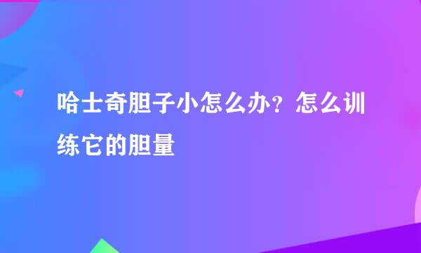 哈士奇胆子小怎么办？怎么训练它的胆量