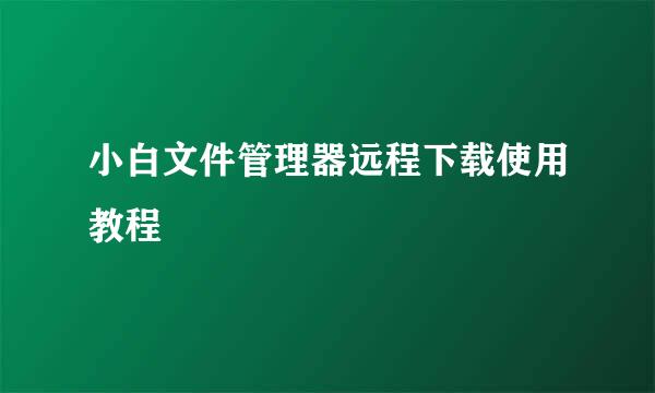 小白文件管理器远程下载使用教程