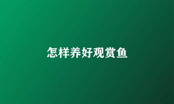 怎样养好观赏鱼