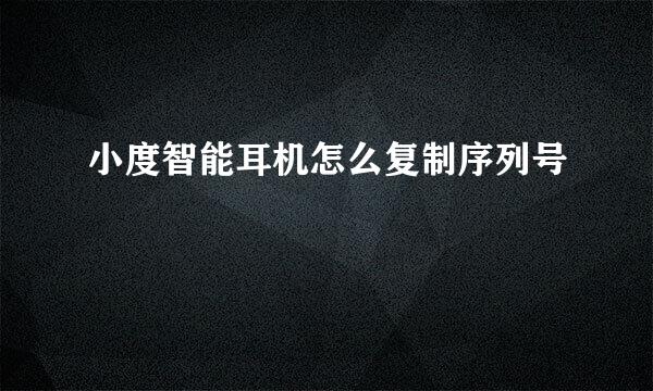 小度智能耳机怎么复制序列号