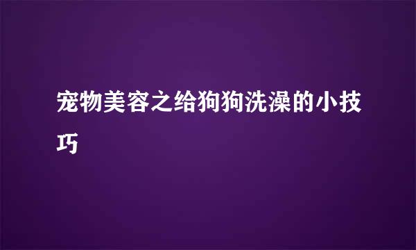 宠物美容之给狗狗洗澡的小技巧