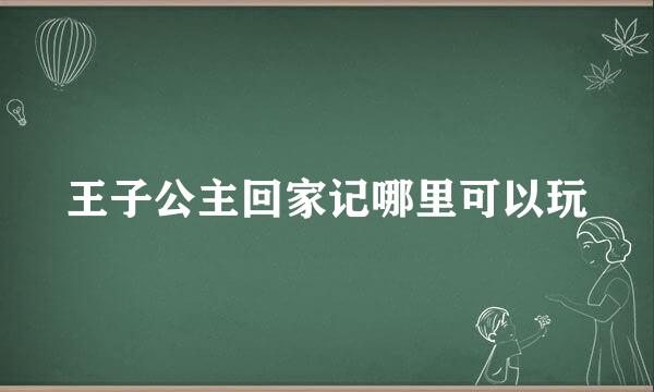 王子公主回家记哪里可以玩
