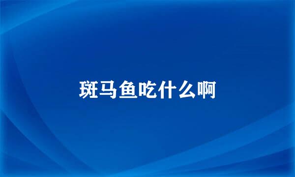 斑马鱼吃什么啊
