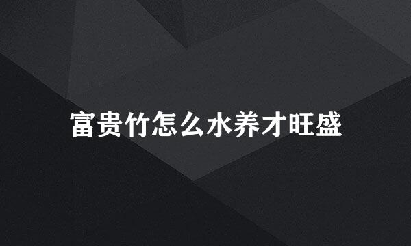 富贵竹怎么水养才旺盛
