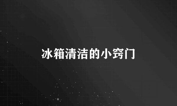 冰箱清洁的小窍门