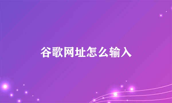 谷歌网址怎么输入