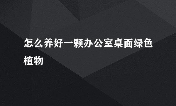 怎么养好一颗办公室桌面绿色植物