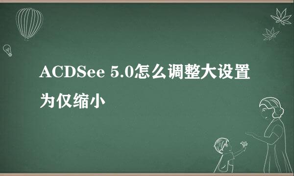 ACDSee 5.0怎么调整大设置为仅缩小
