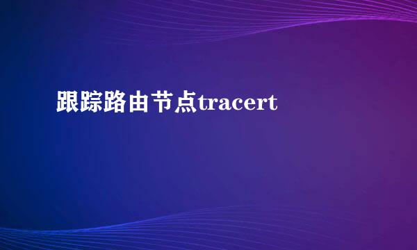 跟踪路由节点tracert