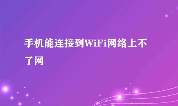 手机能连接到WiFi网络上不了网