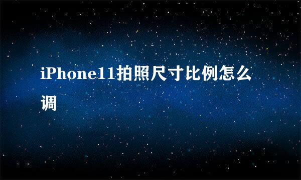 iPhone11拍照尺寸比例怎么调