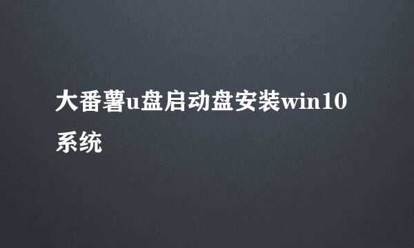 大番薯u盘启动盘安装win10系统