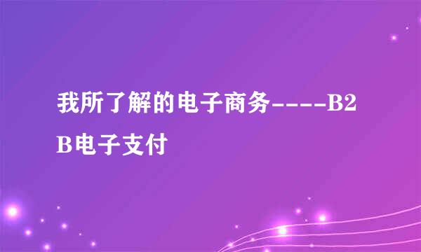 我所了解的电子商务----B2B电子支付