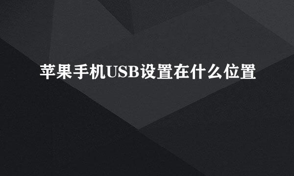 苹果手机USB设置在什么位置