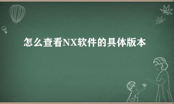 怎么查看NX软件的具体版本
