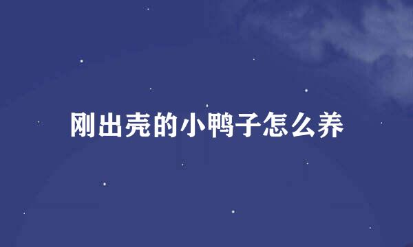 刚出壳的小鸭子怎么养