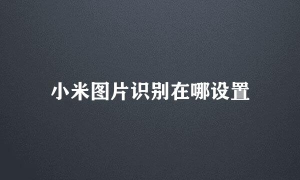 小米图片识别在哪设置
