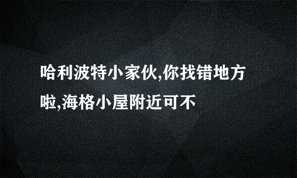 哈利波特小家伙,你找错地方啦,海格小屋附近可不