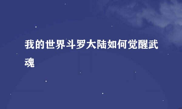 我的世界斗罗大陆如何觉醒武魂