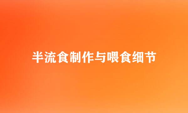 半流食制作与喂食细节