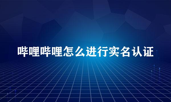 哔哩哔哩怎么进行实名认证