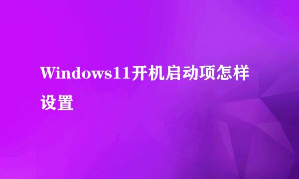 Windows11开机启动项怎样设置