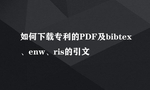 如何下载专利的PDF及bibtex、enw、ris的引文