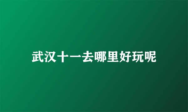 武汉十一去哪里好玩呢
