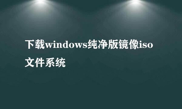 下载windows纯净版镜像iso文件系统